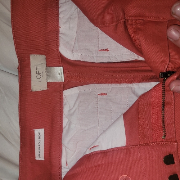 Ann Taylor LOFT Coral Chino Bermuda Roll Shorts 4 - Picture 2 of 3